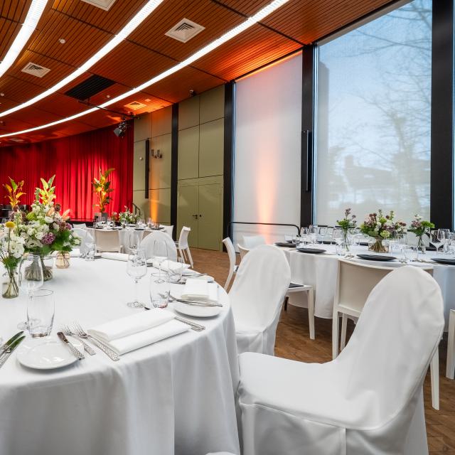 Stuhlhusse, Stoff, white