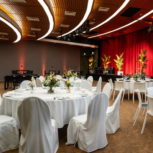 Stuhlhusse, Stoff, white