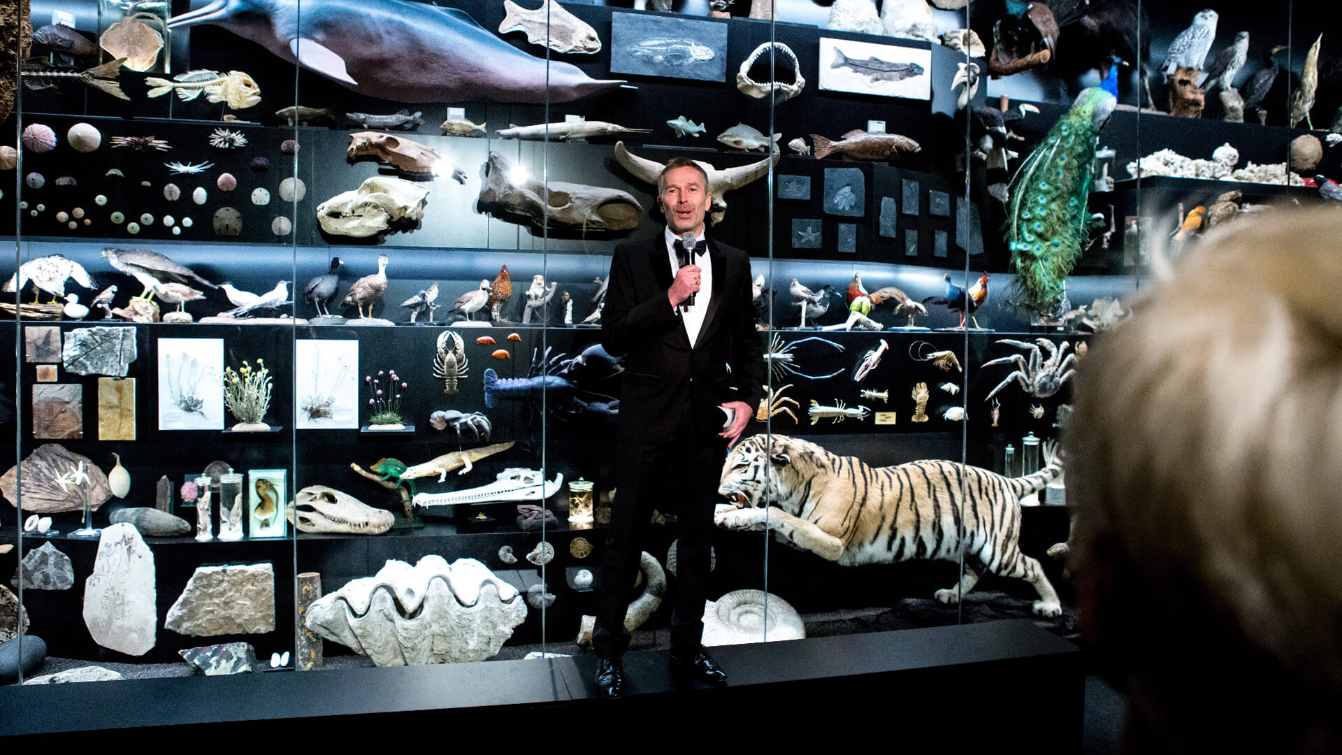 Showcases - Award-Verleihung