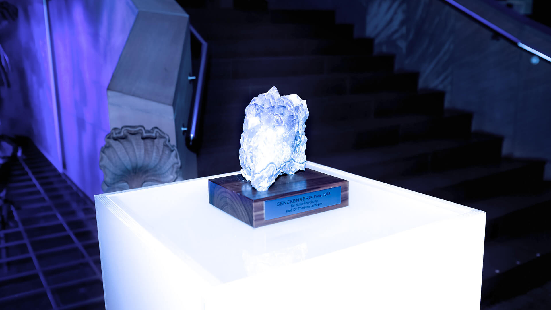 Showcases - Award-Verleihung
