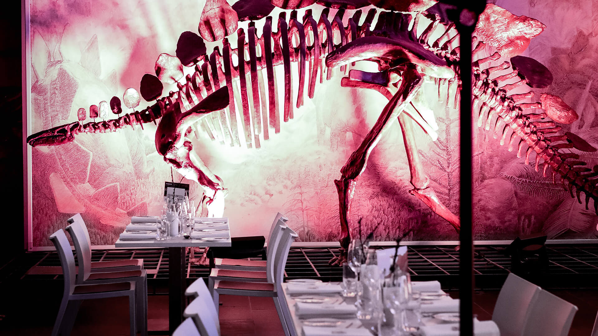 Showcases - Award-Verleihung