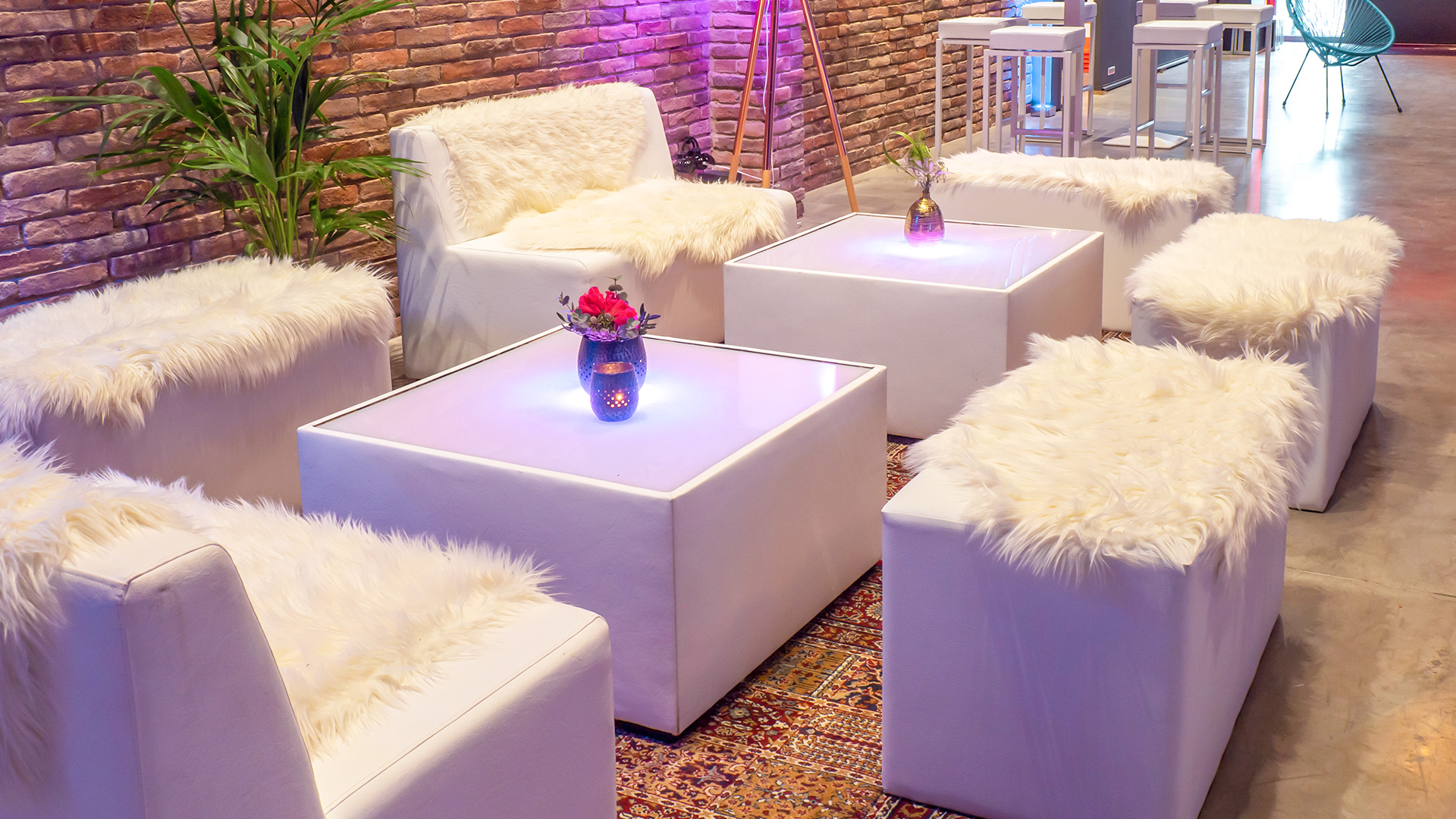 Showcases - B2B